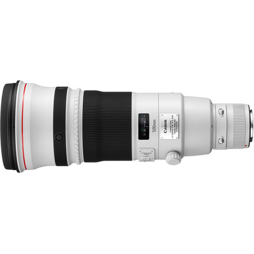 Canon EF 500mm f/4L IS II USM - 2